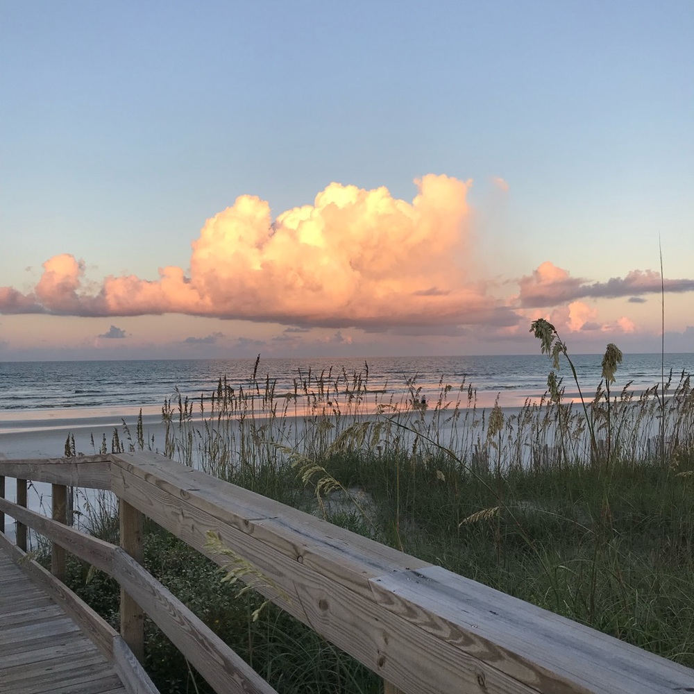 Meet your Posher, Carolyn